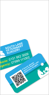 Plastic Security Key Fobs